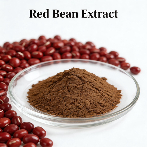 Red Bean Extract: A Functional Ingredient for Modern Diets